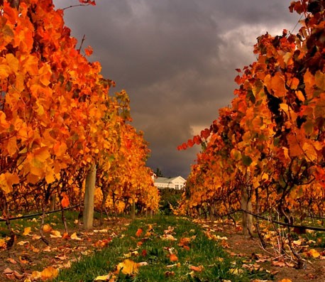 轰炸短信信息软件免费版