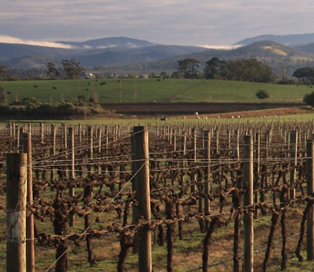 售后无忧放心的呼死你软件下载